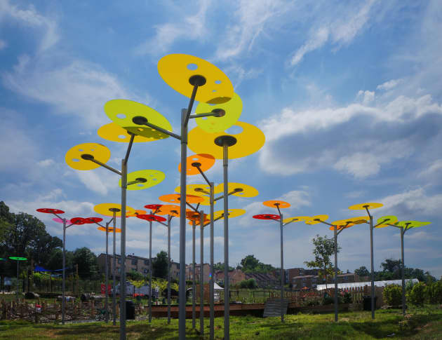 Sheltering Color and Light