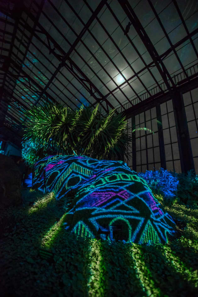 Nightscape