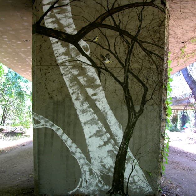 Freeway Camouflage
