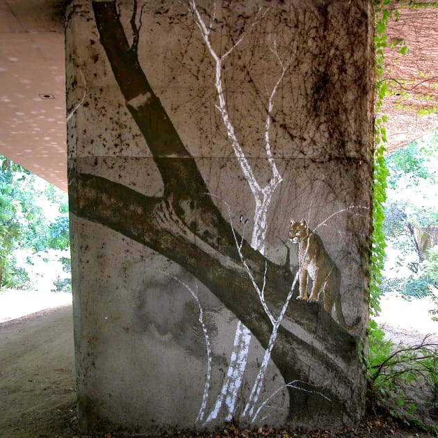 Freeway Camouflage