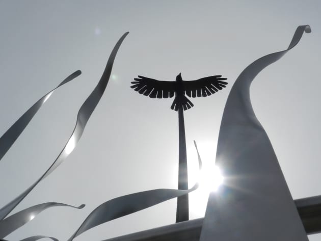 Soaring Bird: Peace through Service