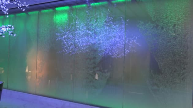 Digital Water Mural at Hotel Francisco I