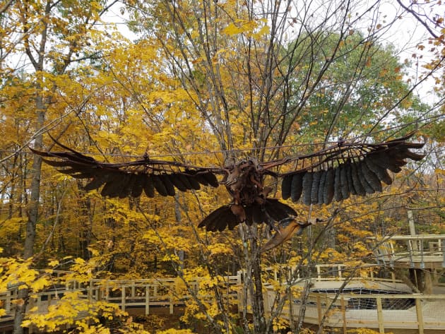 VINS Aviary