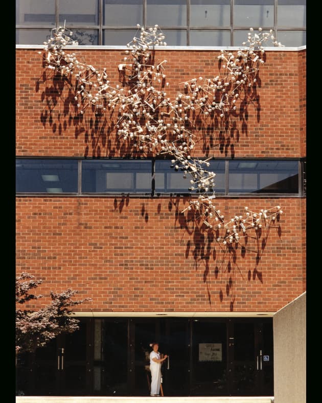 Reanimation: University of Louisville School of Music