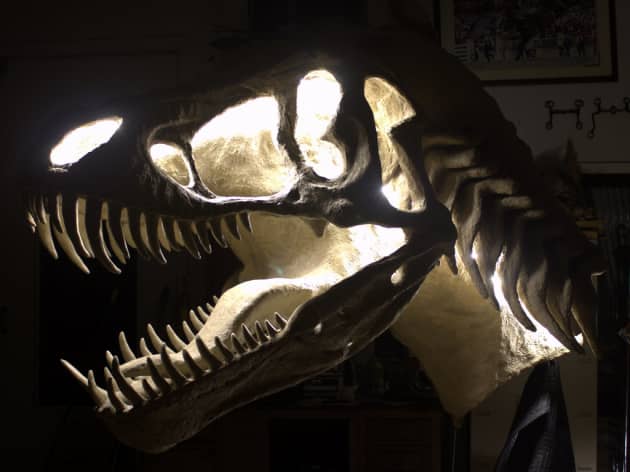 ”ESSENCE OF REX"