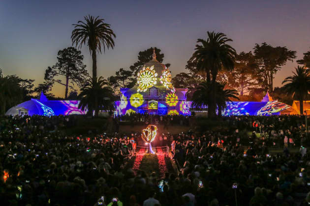 Photosynthesis at the Conservatory of Flowers