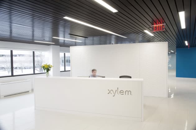 Xylem
