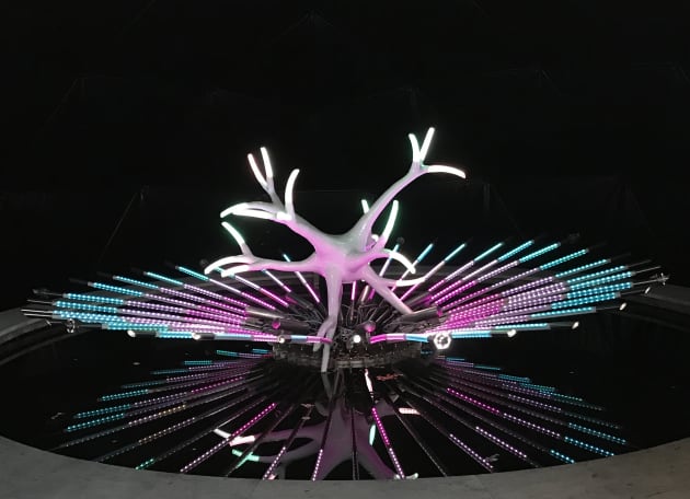 FLOWER FROM THE UNIVERSE