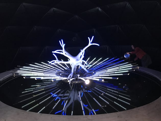 FLOWER FROM THE UNIVERSE