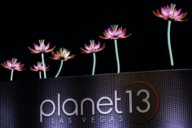 Interactive Lotus Blossoms