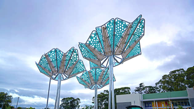 Anemone Canopy