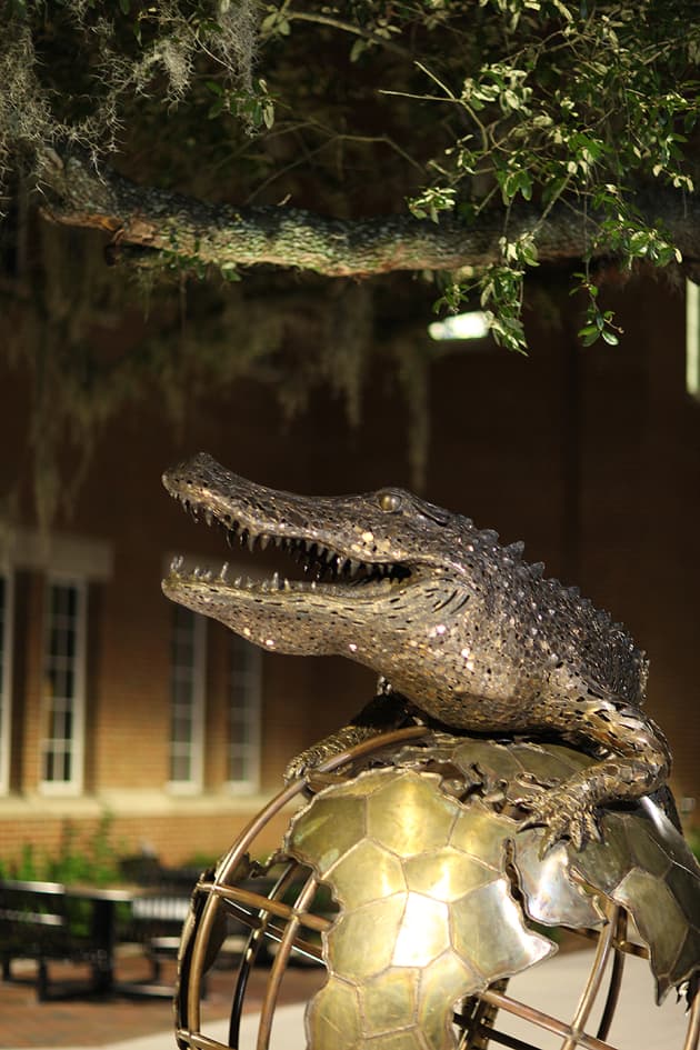 Gator Ubiquity
