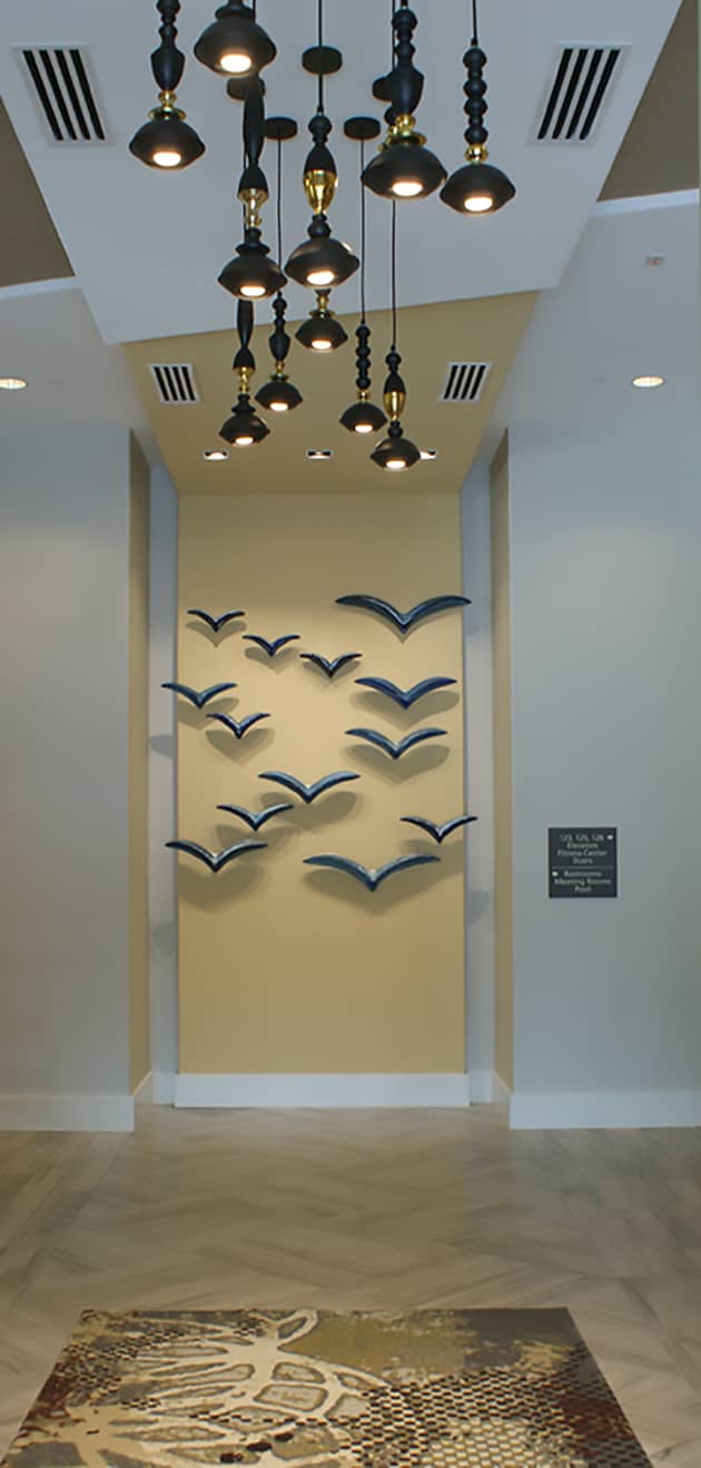 Birds