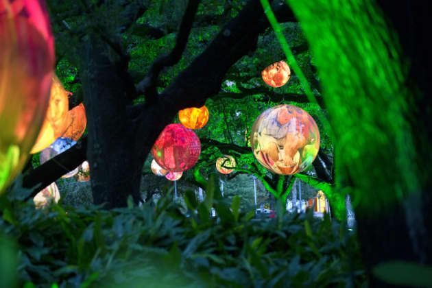 David Graeve’s Lens – Pluralism – Bubbles