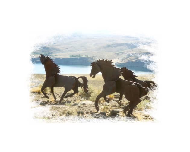 Grandfather Cuts Loose the Ponies