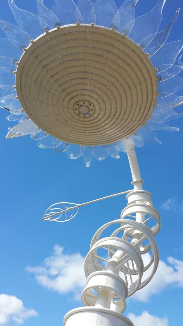 Helianthus Enorme