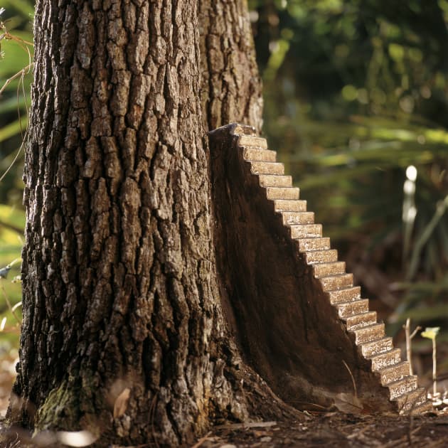 Wild Life Sculpture Search