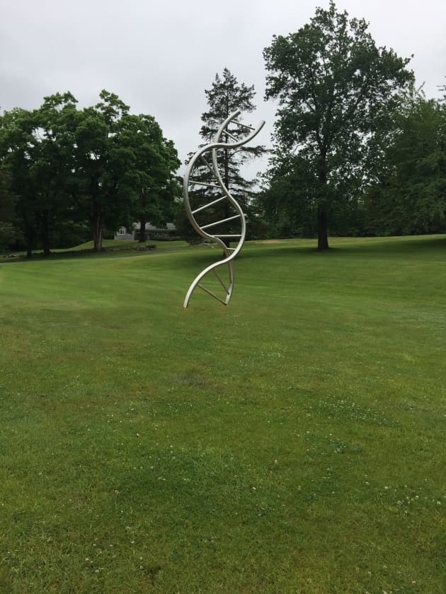 Double Helix