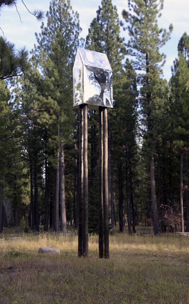 Sculpture in the Wild International Sculpture Symposium