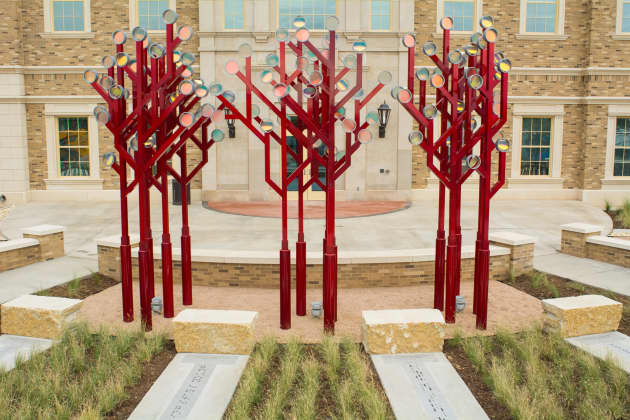 Illuminated Arboreal Data Codes