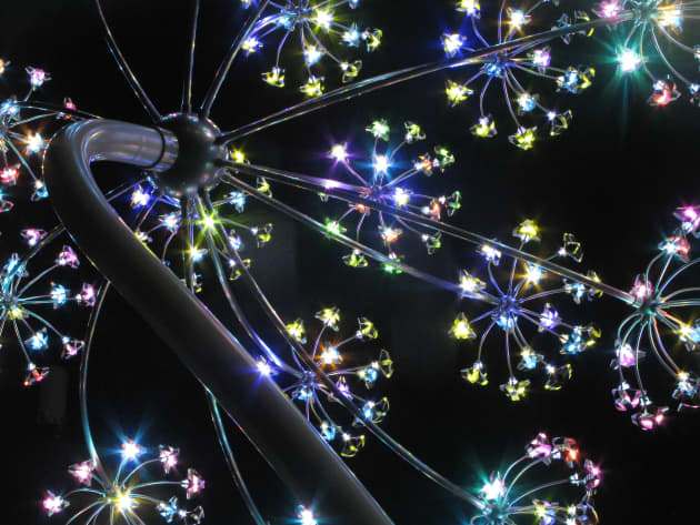 Seeds of Light