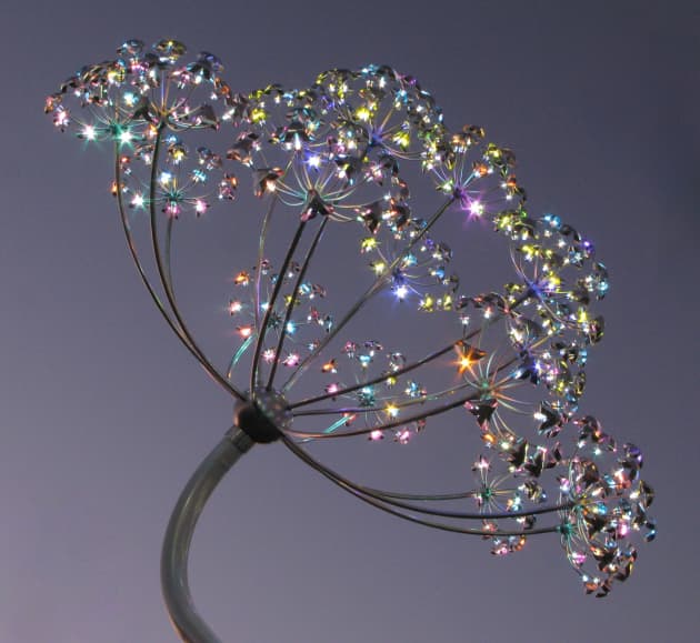 Seeds of Light