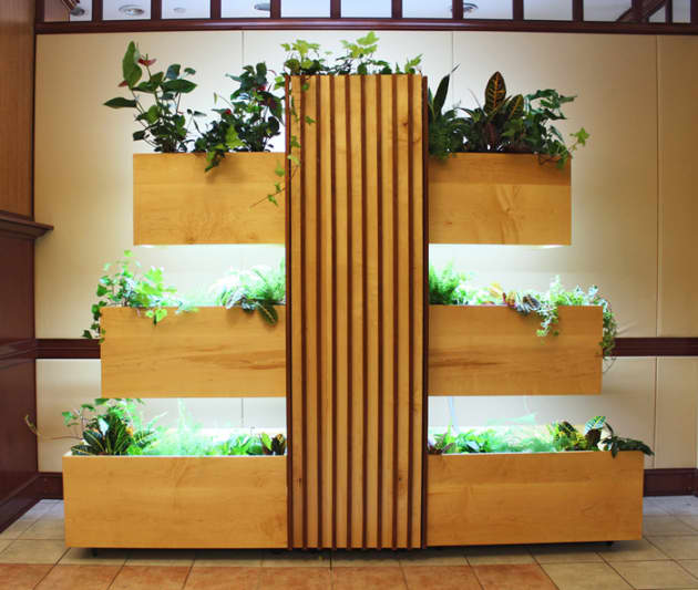 Fountain House Hydroponic LIving Wall
