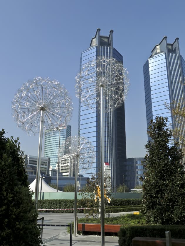 Dandelions Istanbul