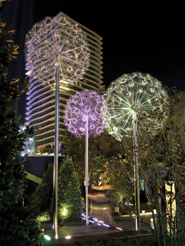 Dandelions Istanbul