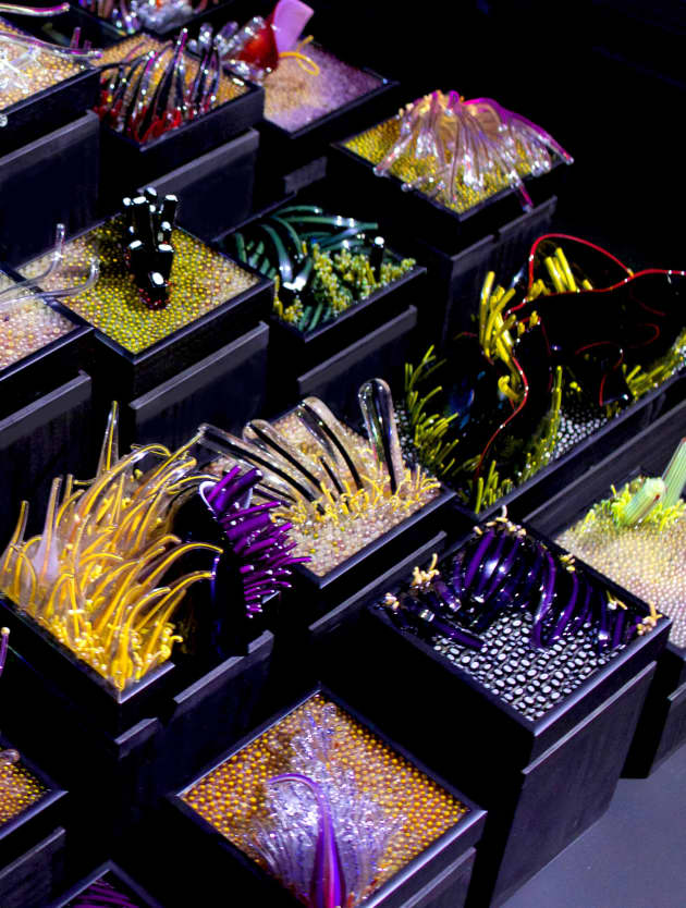 The Deep Aquarium Installation