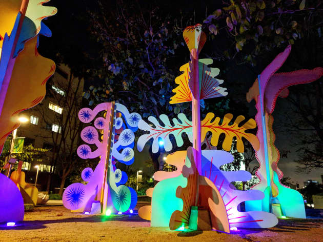 Magic Forest
