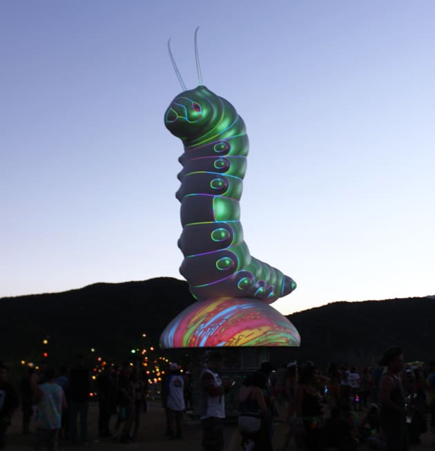 EDC Caterpillar / Caterpillar’s Garden