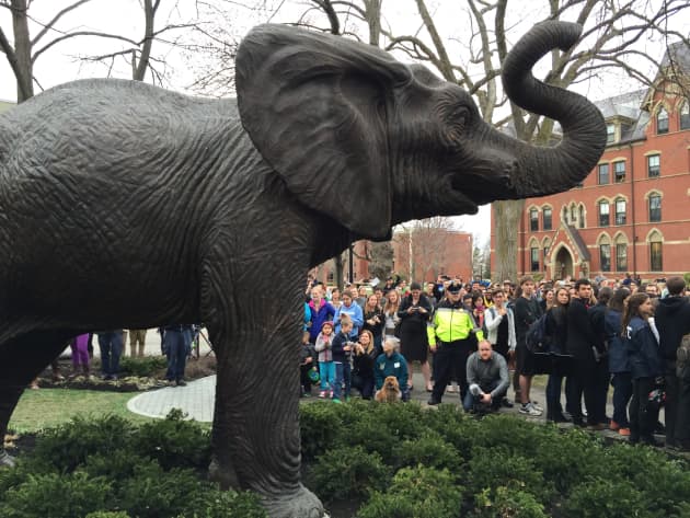 Jumbo the Elephant