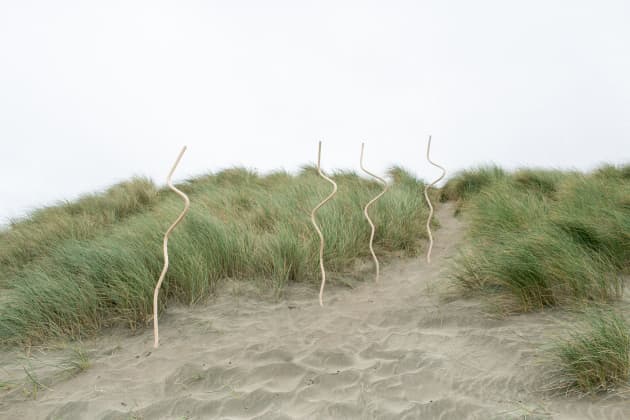Squiggle & Knot Landscapes