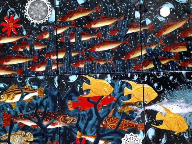 Fish