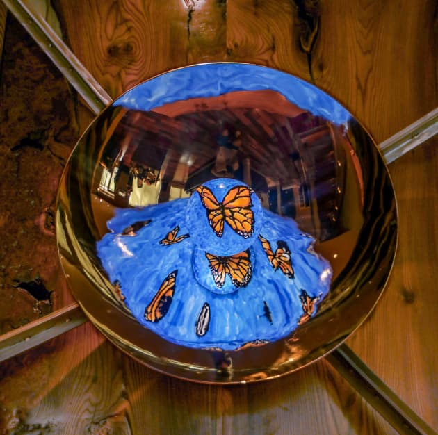 Flutter