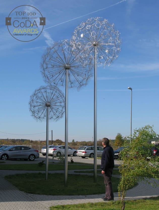 Dandelions Wroclaw