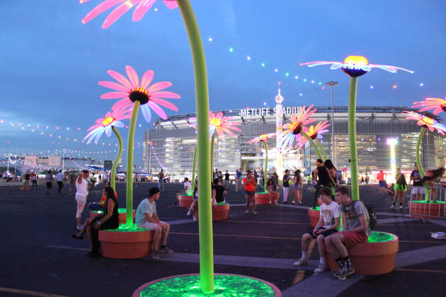 The Daisy Patch