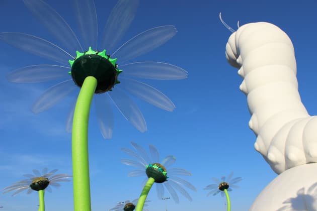 EDC Caterpillar / Caterpillar’s Garden