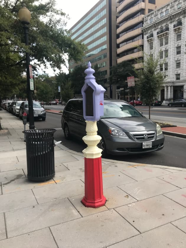 Nine Prominent Women in Washington, DC History