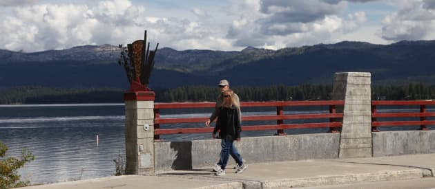 Lardo Bridge Public Art