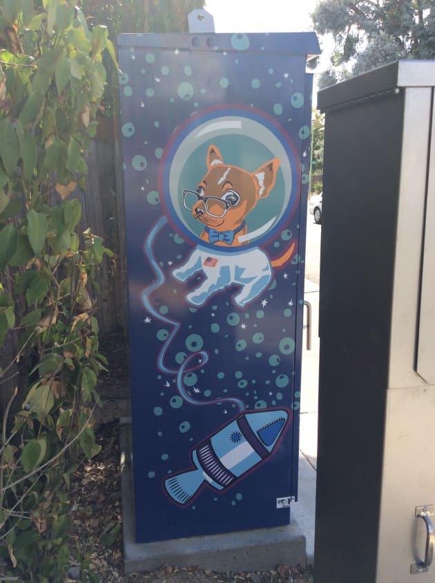 Sacramento Utility Boxes Art