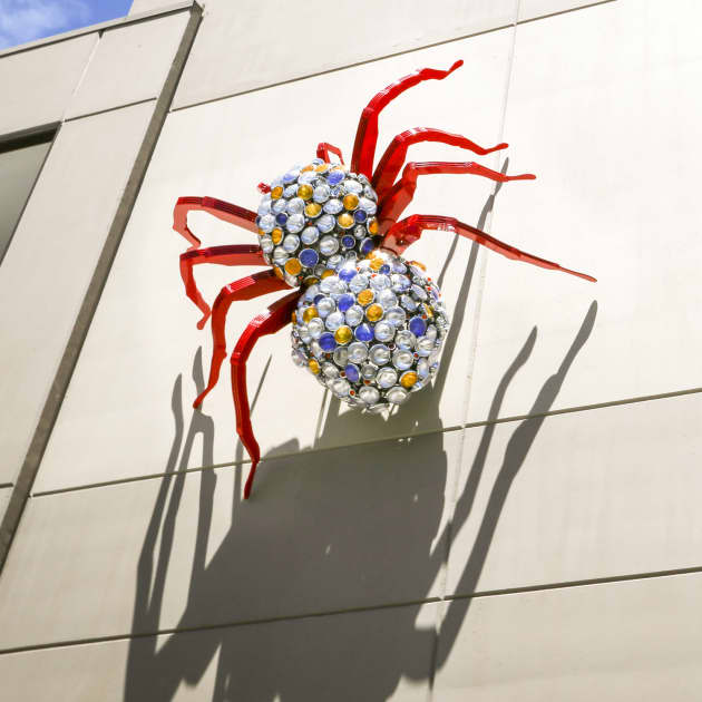 ‘Tarantula’ | 4th Street Parking Garage