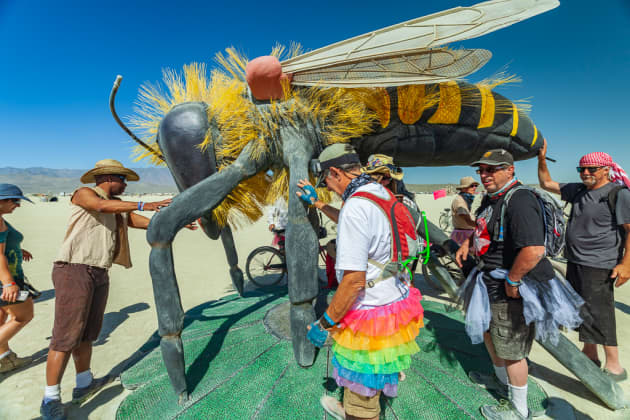 Bee or Not to Bee