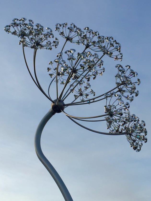 Seeds of Light