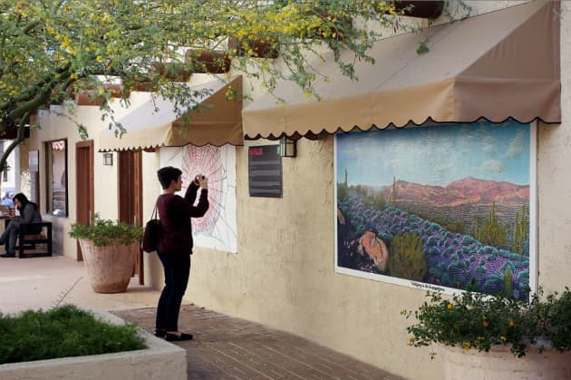 Waltzing in the Superstitions- The Arts at Marshall Square- IN FLUX Cycle 6