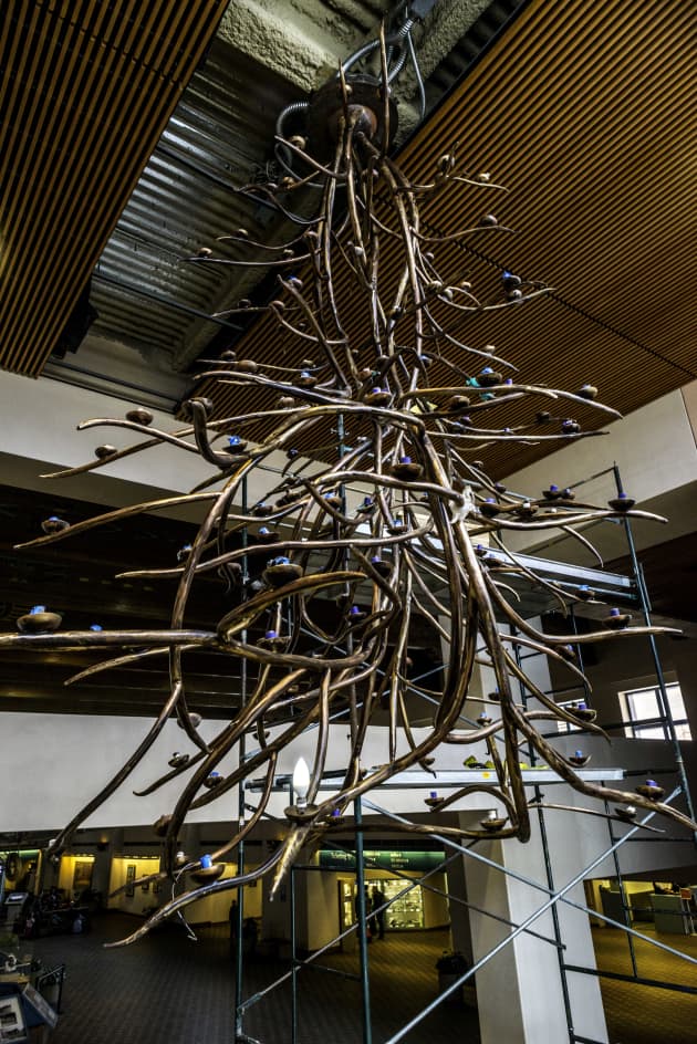 Illumination Tree