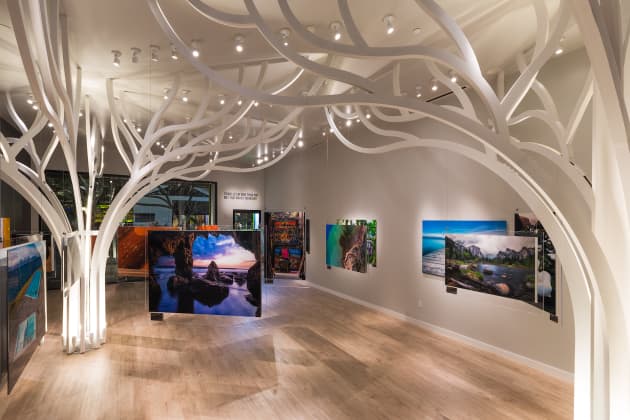 Andrei Duman Gallery