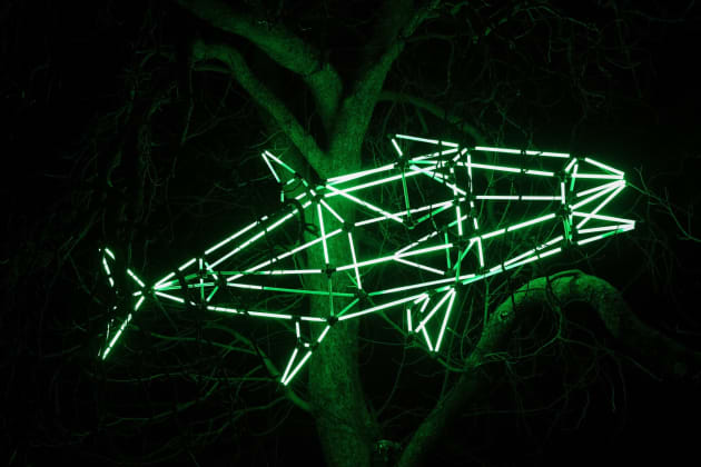 Polylight Technology