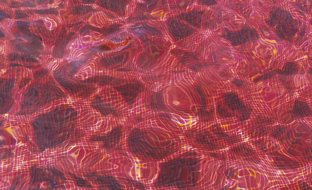 Red Interlude @ Venice Architecture Biennale 2016